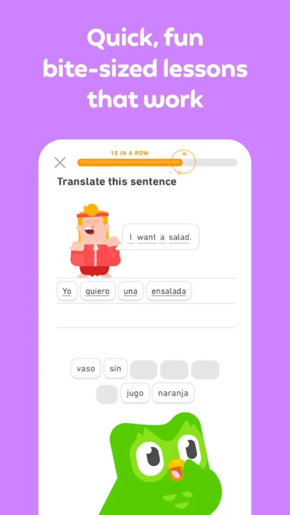 Duolingo- Bit sized lessons